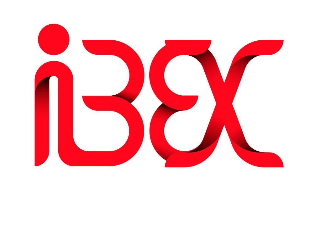 Integral Business Experience